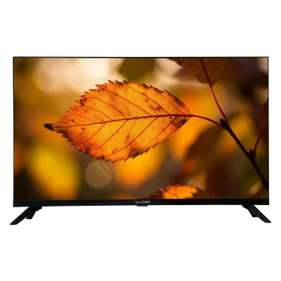 43FX600H 43 Inch HDR10 Television