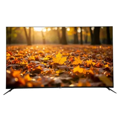 43QX900H 43 Inch QLED Panel Television