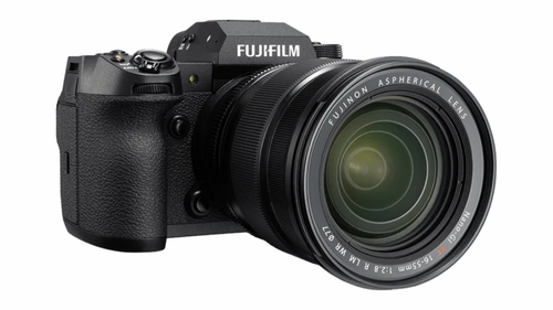 wildlife camera (3).png wildlife camera (3).png