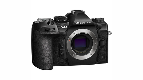 wildlife camera (4).png wildlife camera (4).png