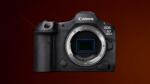 wildlife camera (5).png wildlife camera (5).png